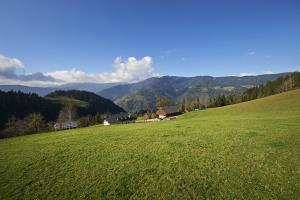 Ljubno_Turistična_kmetija_Kladje (2)